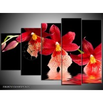 Klok schilderij Orchidee | Rood, Zwart, Wit | 150x100cm 5Luik
