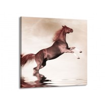 Canvas schilderij Paard | Sepia, Bruin | 50x50cm 1Luik
