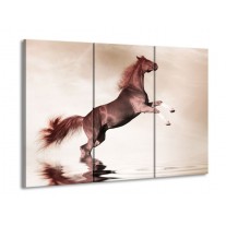 Glas schilderij Paard | Sepia, Bruin | 90x60cm 3Luik