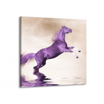 Glas schilderij Paard | Paars, Sepia | 70x70cm 1Luik