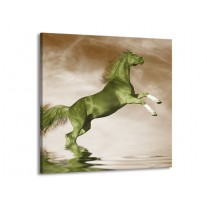 Canvas schilderij Paard | Groen, Sepia, Bruin | 50x50cm 1Luik