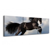 Canvas schilderij Paard | Zwart, Blauw, Wit | 150x50cm 3Luik
