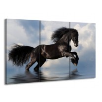 Canvas schilderij Paard | Zwart, Blauw, Wit | 165x100cm 3Luik