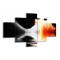 Canvas schilderij Lichaam | Oranje, Wit, Zwart | 125x70cm 5Luik