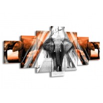Glas schilderij Olifant | Oranje, Wit, Grijs | 210x100cm 7Luik