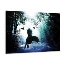 Glas schilderij Paard | Blauw, Zwart, Wit | 100x70cm 1Luik