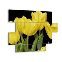 Glas schilderij Tulpen | Geel, Groen, Zwart | 115x85cm 4Luik