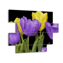 Glas schilderij Tulpen | Paars, Geel, Groen | 115x85cm 4Luik