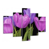 Glas schilderij Tulpen | Paars, Blauw, Groen | 100x70cm 5Luik