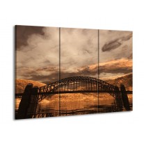 Glas schilderij Natuur | Bruin, Zwart, Grijs | 90x60cm 3Luik