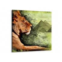 Canvas schilderij Leeuw | Bruin, Grijs, Groen | 50x50cm 1Luik