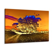 Glas schilderij Natuur | Oranje, Blauw, Geel | 100x70cm 1Luik