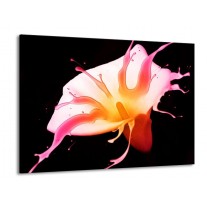 Glas schilderij Bloem | Roze, Geel, Oranje | 100x70cm 1Luik