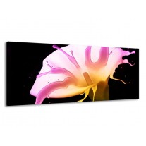 Glas schilderij Bloem | Roze, Geel, Zwart | 145x58cm 1Luik
