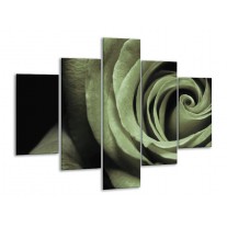 Glas schilderij Roos | Groen, Grijs, Zwart | 100x70cm 5Luik