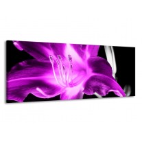 Glas schilderij Orchidee | Paars, Grijs, Zwart | 145x58cm 1Luik