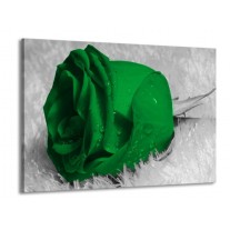 Glas schilderij Roos | Groen, Grijs, Zwart | 100x70cm 1Luik