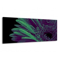 Glas schilderij Bloem | Groen, Zwart | 145x58cm 1Luik