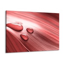 Glas schilderij Druppel | Roze, Wit | 100x70cm 1Luik