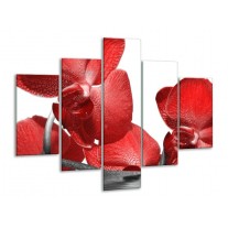 Glas schilderij Orchidee | Rood, Wit | 100x70cm 5Luik