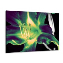 Glas schilderij Bloem | Zwart, Groen, Grijs | 100x70cm 1Luik