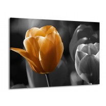 Glas schilderij Tulp | Geel, Oranje, Grijs | 100x70cm 1Luik