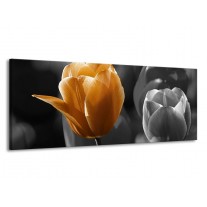 Glas schilderij Tulp | Geel, Oranje, Grijs | 145x58cm 1Luik
