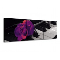 Canvas schilderij Roos | Paars, Zwart, Wit | 120x40cm 3Luik