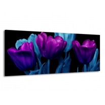 Glas schilderij Tulp | Paars, Blauw, Zwart | 145x58cm 1Luik
