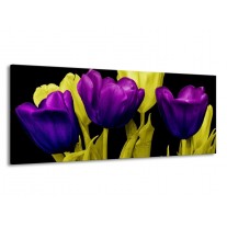 Glas schilderij Tulp | Paars, Geel, Zwart | 145x58cm 1Luik