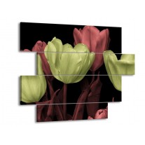 Glas schilderij tulp | Geel, Rood, Zwart | 115x85cm 4Luik