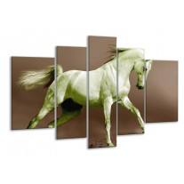 Glas schilderij Paard | Bruin, Groen | 170x100cm 5Luik