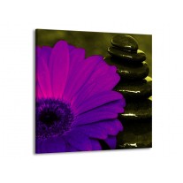 Glas schilderij Bloem | Paars, Groen, Wit | 70x70cm 1Luik