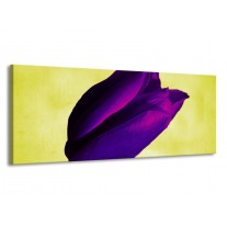 Glas schilderij Tulp | Paars, Groen, Wit | 145x58cm 1Luik