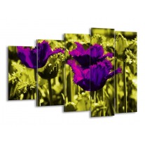 Canvas schilderij Tulp | Paars, Groen, Wit | 150x100cm 5Luik