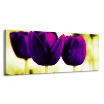 Glas schilderij Tulp | Paars, Groen, Wit | 145x58cm 1Luik