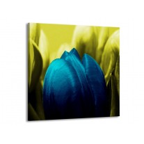Glas schilderij Tulp | Blauw, Zwart, Groen | 70x70cm 1Luik