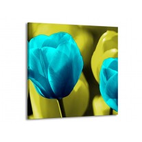 Glas schilderij Tulp | Blauw, Zwart, Groen | 70x70cm 1Luik