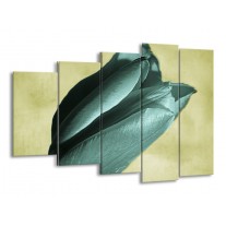 Glas schilderij Tulp | Blauw, Zwart, Groen | 150x100cm 5Luik