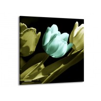 Glas schilderij Tulp | Blauw, Zwart, Groen | 70x70cm 1Luik