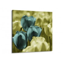 Glas schilderij Tulp | Blauw, Zwart, Groen | 70x70cm 1Luik