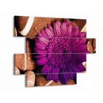 Glas schilderij Bloem | Paars, Bruin, Wit | 115x85cm 4Luik