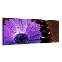 Glas schilderij Bloem | Paars, Bruin, Wit | 145x58cm 1Luik