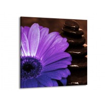 Glas schilderij Bloem | Paars, Bruin, Wit | 70x70cm 1Luik