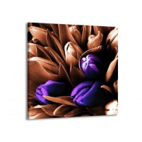 Glas schilderij Tulp | Paars, Bruin, Wit | 70x70cm 1Luik