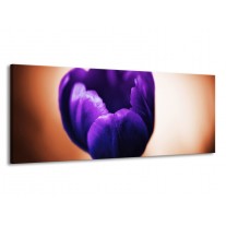Glas schilderij Tulp | Paars, Bruin, Wit | 145x58cm 1Luik