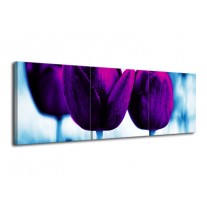 Glas schilderij Tulp | Paars, Blauw, Wit | 120x40cm 3Luik