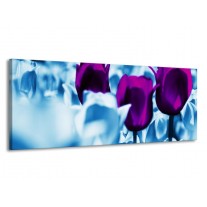 Glas schilderij Tulp | Paars, Blauw, Wit | 145x58cm 1Luik