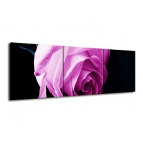Glas schilderij Roos | Roze, Wit, Zwart | 120x40cm 3Luik