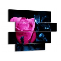 Glas schilderij Roos | Roze, Blauw, Zwart | 115x85cm 4Luik